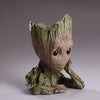 Groot Holder