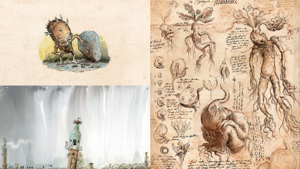 Harry Potter and The Chamber of Secrets (Illustrated) - Props and Collectibles